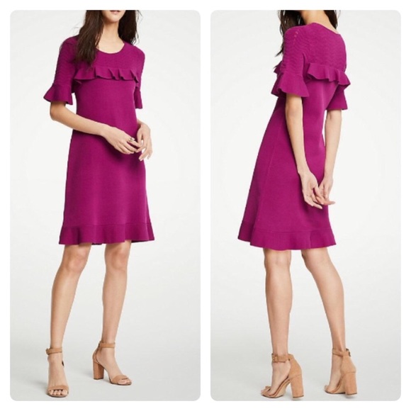 Ann Taylor Dresses & Skirts - Ann Taylor Purple Ruffle Chevron Sweater Dress